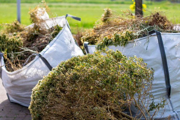 Trash Removal Near Me in Wrens, GA